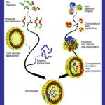 366.1 Snippet_Unrecognisable life